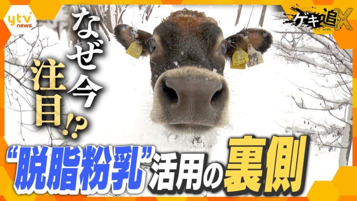 酪農の救世主！？スイーツに衣料品まで…バターに隠れた副産物「脱脂粉乳」活用の実態を追う【かんさい情報ネットten.特集/ゲキ追X】