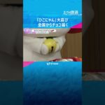 「ひこにゃん」鈴を鳴らして大喜び　バレンタインデーに全国から189個のチョコが届く　滋賀・彦根市