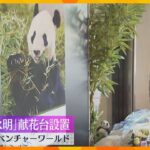 「ショックで涙が…」「ありがとう」天国に旅立ったパンダ『永明』の献花台　多くの人が別れを惜しむ