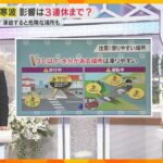 【最強寒波】交通機関や生活への影響は？道路が凍結すると危険な箇所も　影響は3連休まで及ぶおそれも