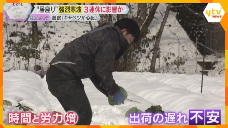 【居座り】「週末の寒波は恐ろしい」長引く“強烈寒波”、影響はあの野菜にも「前倒しで収穫している」