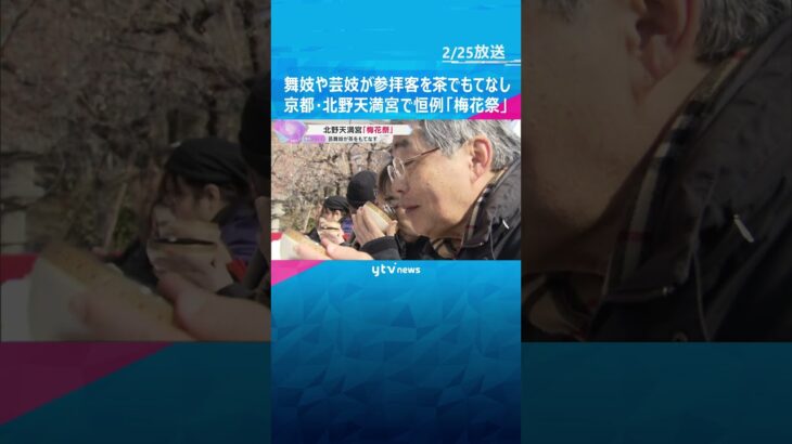 「楽しいお席やと思いました」舞妓や芸妓が参拝客を茶でもてなす、恒例の『梅花祭』　京都・北野天満宮　#shorts #読売テレビニュース