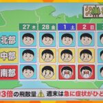 【気象予報士解説】今年のスギ花粉は、“早スギ”＆“多スギ”　週末は4月並みの暖かさ「ドッと飛ぶ」