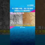 「壁画本来の姿を明らかにしていきたい」キトラ古墳『青龍』高精度カメラで輪郭鮮明に　全体像を把握　#shorts #読売テレビニュース