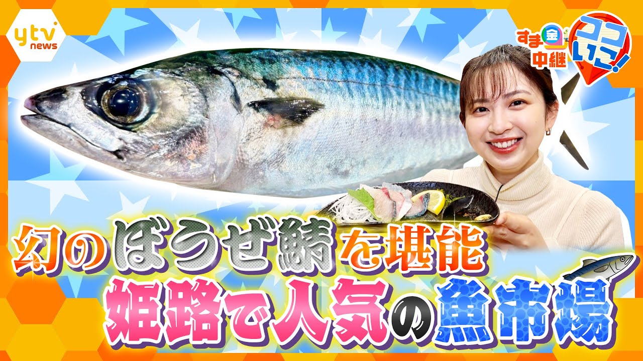 高級ブランド魚「ぼうぜ鯖」を堪能！“いけす販売”が人気の魚市場「姫路まえどれ市場」を徹底リポート【す・またん！】
