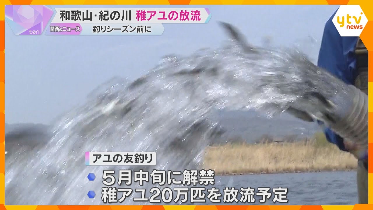 人工ふ化させた13万匹の稚アユ、ホースを使って放流 5月中旬の友釣り解禁を前に 和歌山・紀の川市