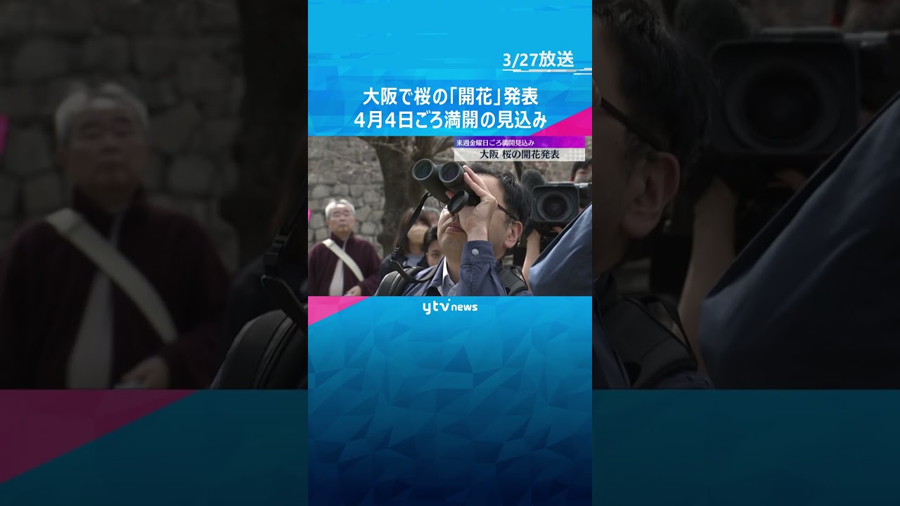 大阪で桜の「開花」発表 去年より3日早く、近畿では和歌山に続き2番目 4月4日ごろ満開の見込み #shorts #読売テレビニュース
