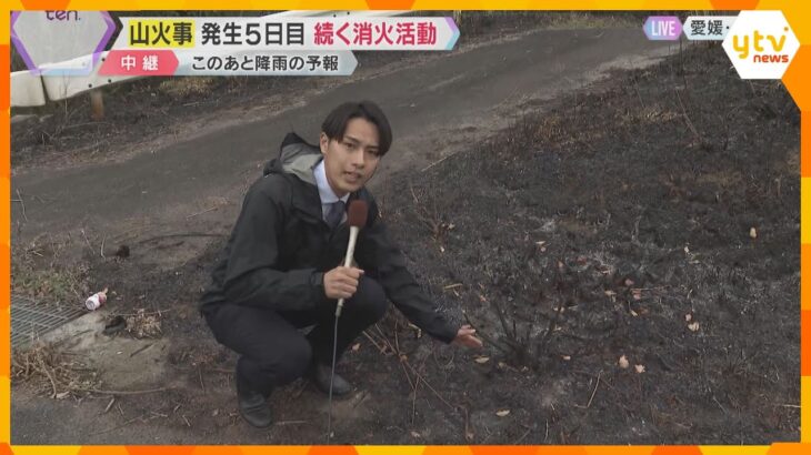 山火事発生5日目】「街中に焦げくさい臭い、灰で喉に違和感」雨で鎮火に期待も被害の爪痕残る　愛媛