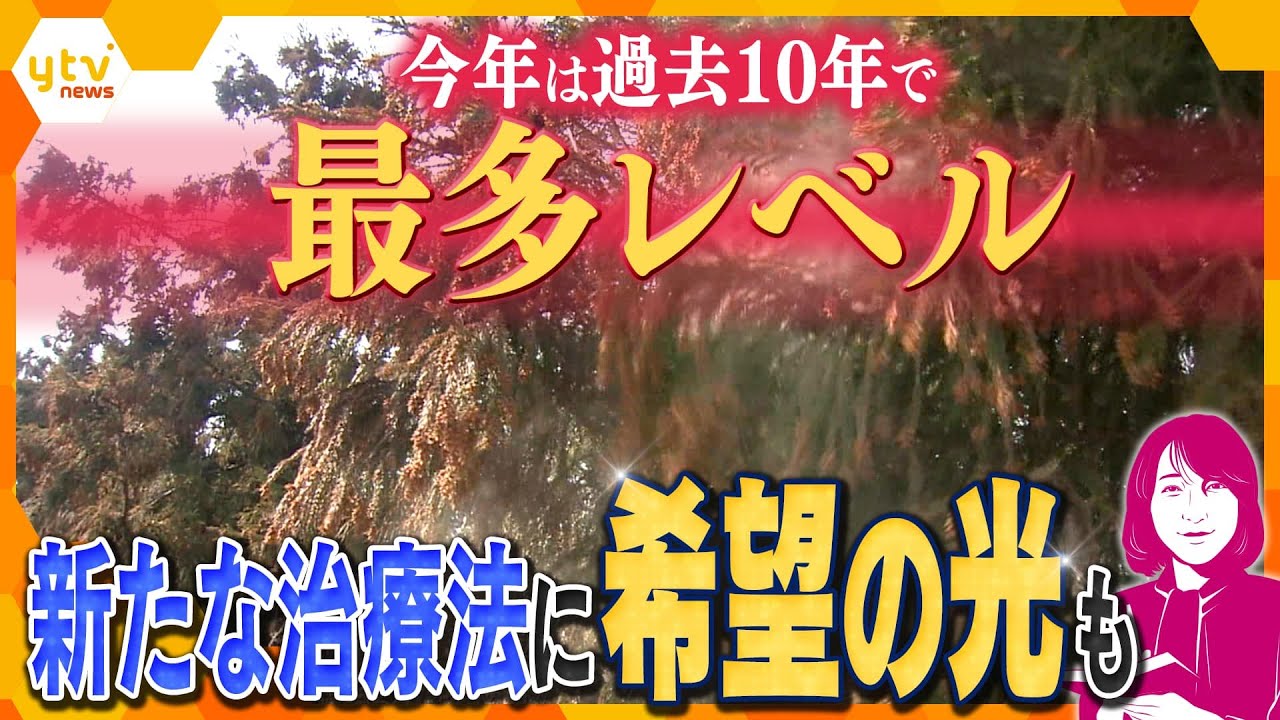 【ヨコスカ解説】花粉症の新常識“シーソー理論”　過去の10年で最悪、約2人に1人が花粉症も　スギ花粉はなぜツラい？対策はある？