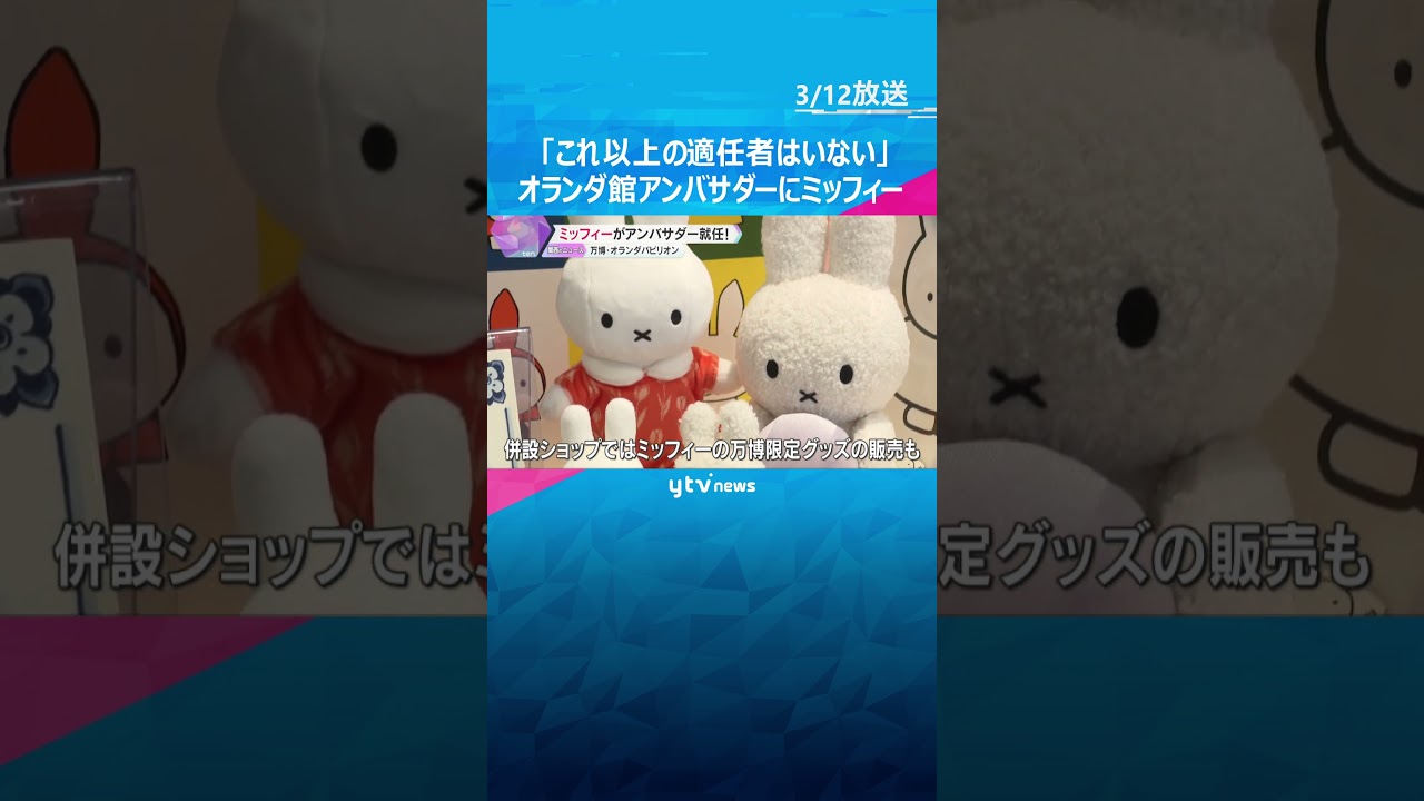 「これ以上の適任者はいない」ミッフィーが、オランダパビリオンの『キッズアンバサダー』就任【万博】#shorts　#読売テレビニュース