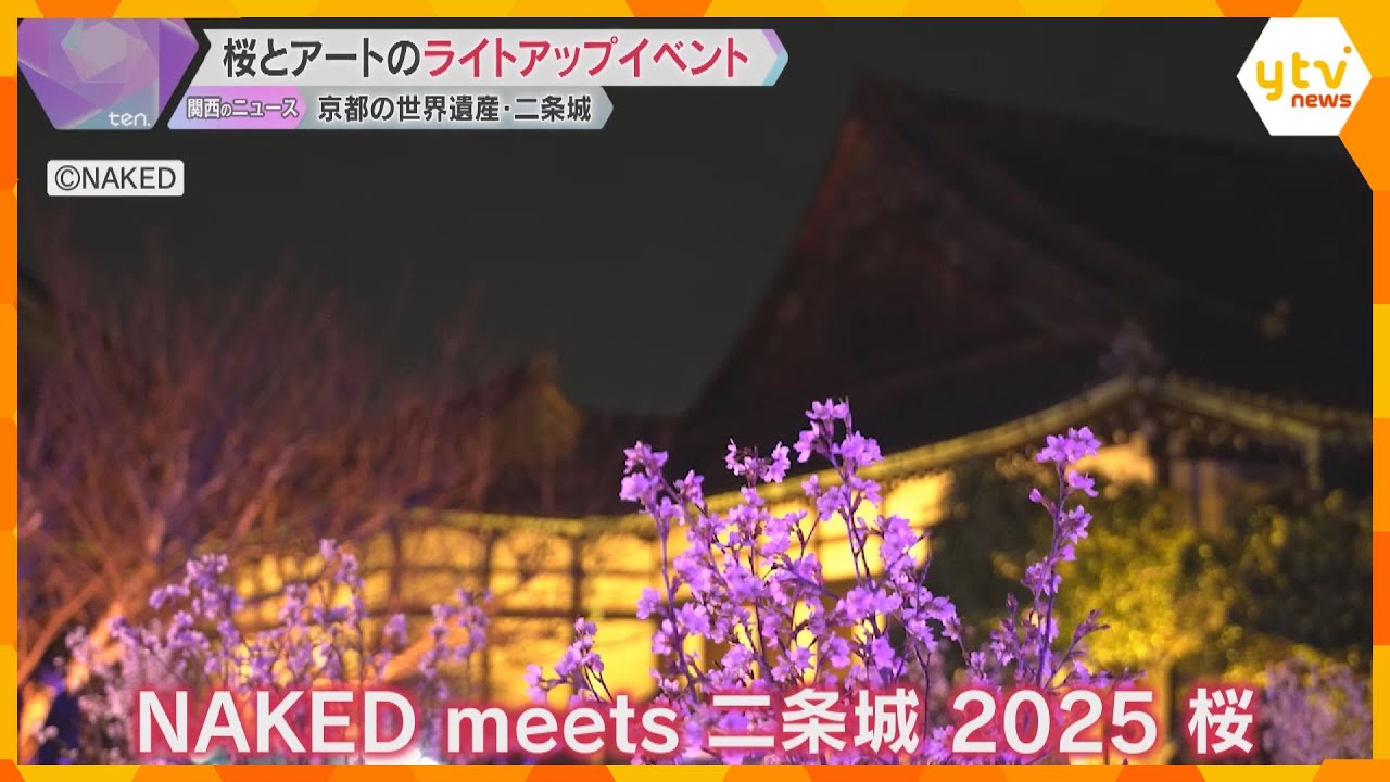 京都の世界遺産・二条城で「桜」と「デジタルアート」楽しめるライトアップイベント 食べ物の屋台も