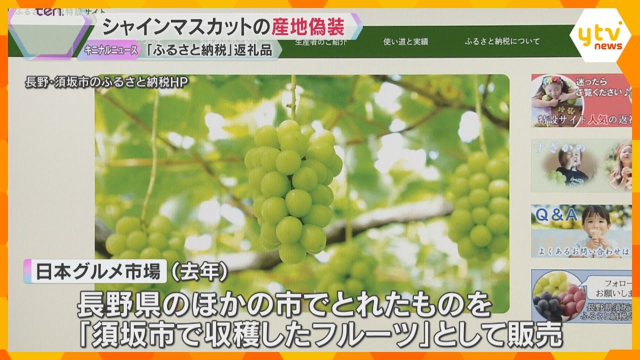 「正しく表示しなければいけないという認識が欠如」ふるさと納税返礼品のシャインマスカットの産地偽装　和歌山県の業者