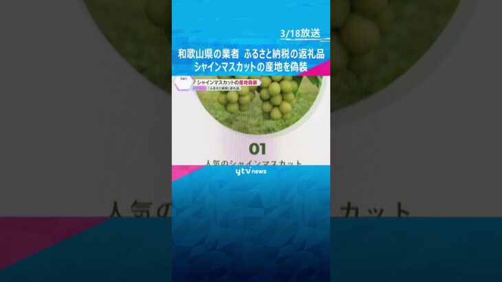 「正しく表示しなければいけないという認識が欠如」ふるさと納税返礼品のシャインマスカットの産地偽装　和歌山県の業者　#shorts #読売テレビニュース