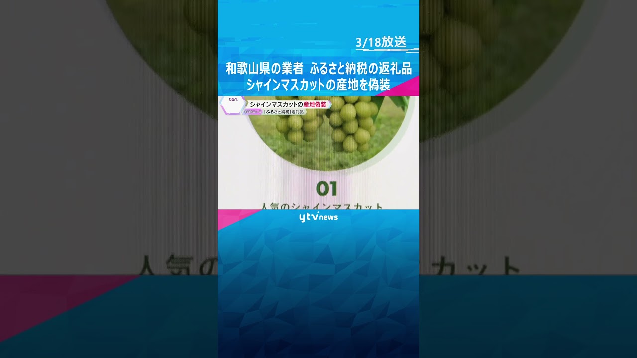 「正しく表示しなければいけないという認識が欠如」ふるさと納税返礼品のシャインマスカットの産地偽装　和歌山県の業者　#shorts #読売テレビニュース