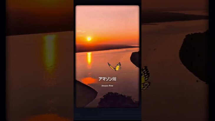 三浦さんの万博ととのいました＃12【コロンビア館】水に育まれた命の循環と多様な文化　#shorts #読売テレビニュース #万博 #大阪関西万博 #EXPO #三浦隆志 #コロンビア館