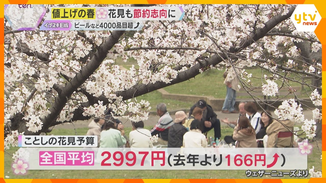 花見客「お酒を我慢している」「うまい棒が15円に」 “値上げの春”ビールなど4000品目超の食品