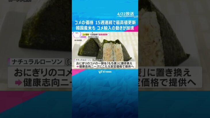 15週連続コメ最高値更新　「おかずは減らせるけど、コメは減らせない」コンビニおにぎりも、もち麦に　輸入の動きも加速 #shorts　#読売テレビニュース