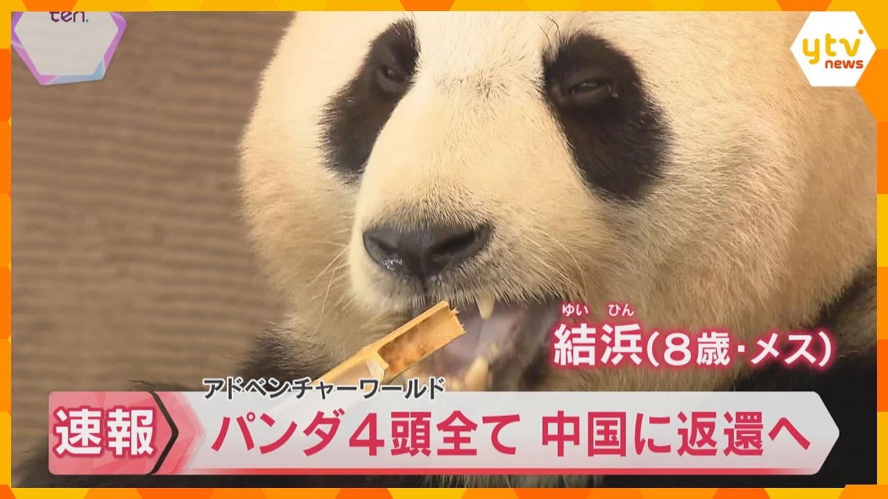 【映像】パンダ4頭全て中国に返還へ　契約期間満了で6月末ごろ予定　和歌山・アドベンチャーワールド　国内のパンダは東京の上野動物園だけに