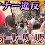 無断で私有地に入り写真撮影!?　歴史的な建物の破壊!?　共存は無理…京都のオーバーツーリズムの現在地【かんさい情報ネットten.ゲキツイ】