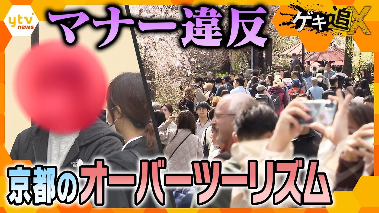 無断で私有地に入り写真撮影!?　歴史的な建物の破壊!?　共存は無理…京都のオーバーツーリズムの現在地【かんさい情報ネットten.ゲキツイ】