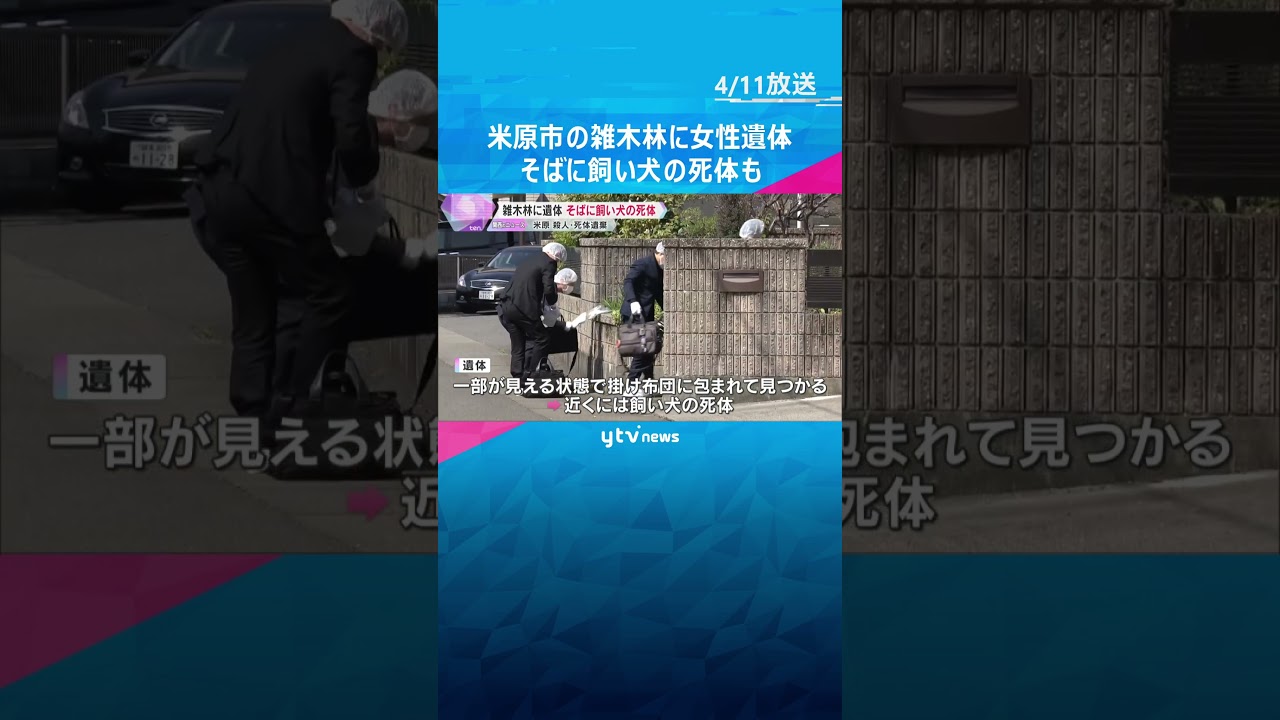 雑木林に殺害された女性の遺体　そばに飼い犬の死体も　飼い犬とともに連れ去られたか　滋賀・米原市 #shorts　#読売テレビニュース