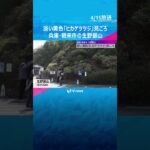 淡い黄色の「ヒカゲツツジ」見ごろ　生野銀山へ向かう山の斜面に約1000本が群生　#shorts #読売テレビニュース