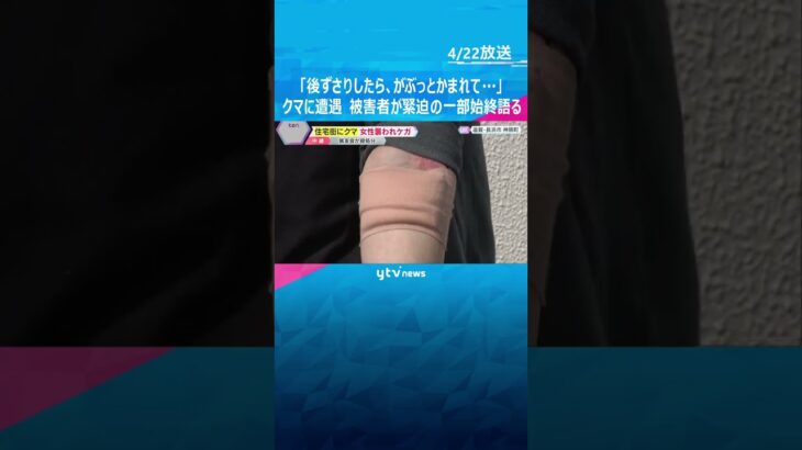 「突進してきた。後ずさりしたら…」住宅街でクマに襲われ女性ケガ「がぶっとかまれ、押されてこけた」周辺には小中学校も　滋賀・長浜市 #shorts　#読売テレビニュース