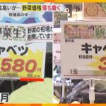 【野菜が安い】キャベツ、ほうれん草など葉物野菜中心に多くの供給　一方、コメは価格高騰が続く