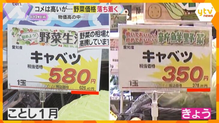 【野菜が安い】キャベツ、ほうれん草など葉物野菜中心に多くの供給　一方、コメは価格高騰が続く