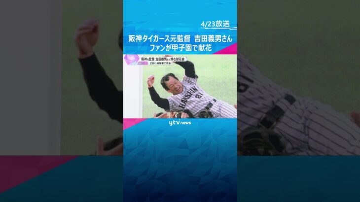 阪神タイガース元監督・吉田義男さんを悼む　ファンが甲子園で献花　2月に脳梗塞により91歳で死去　#shorts #読売テレビニュース