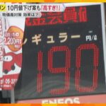 「高すぎやろ」「もっと下げて」ガソリン価格高騰で10円値下げ案も　政府の物価高対策の効果は？