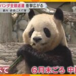 白浜町長「いなくなった後のことは想像できない」パンダ全頭を中国に返還へ　地域に衝撃広がる　和歌山