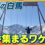 オーバーツーリズムを回避するための対策で人気に！？インバウンドで稼ぐ日本、“観光地最前線”【ニュースジグザグ】