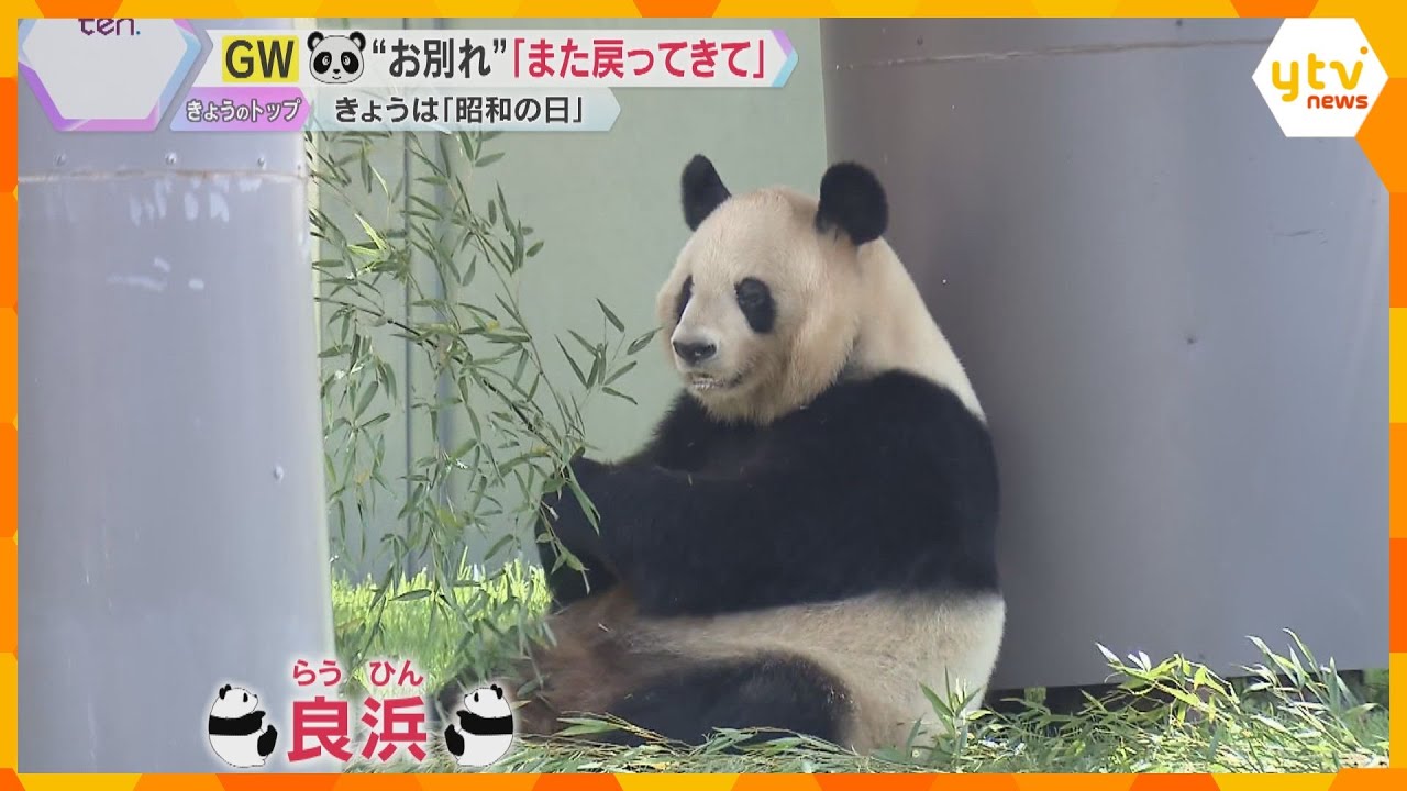 【昭和の日】多くの人がパンダに“お別れ” 「せつない」「また戻ってきて」アドベンチャーワールド