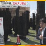 万博『文明の森』立ち入り禁止に　“倒木の危険性”とSNSで指摘　万博協会「安全性の確認が必要」