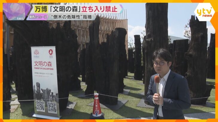 万博『文明の森』立ち入り禁止に　“倒木の危険性”とSNSで指摘　万博協会「安全性の確認が必要」