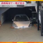 道路陥没で一帯が冠水　「車が半分浸水し廃車に…」「道路が川のように」水道管の老朽化が原因か　京都