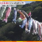 海の上で泳ぐ約90匹の“こいのぼり”　春の潮風に乗って優雅に舞う　5月5日まで　兵庫・香美町