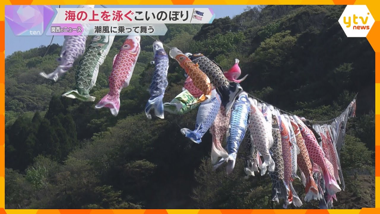 海の上で泳ぐ約90匹の“こいのぼり”　春の潮風に乗って優雅に舞う　5月5日まで　兵庫・香美町