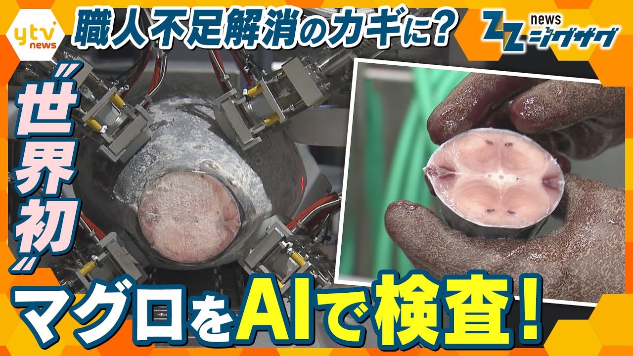 AIがマグロの「脂のり」を目利きする時代が来る？熟練の職人技との違いは何か【ニュースジグザグ】