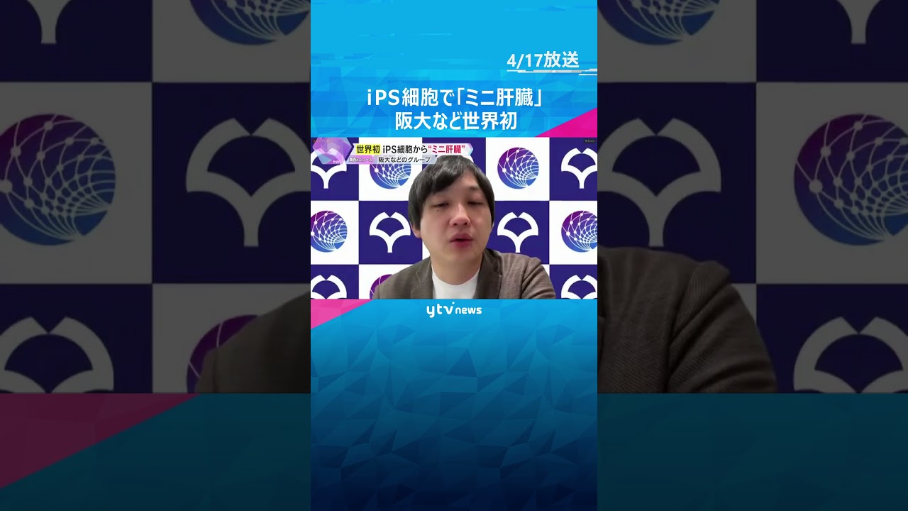 「生存が改善する治療できる」iPS細胞から世界初の「ミニ肝臓」重度の肝不全の症状改善　臨床研究へ　#shorts #読売テレビニュース