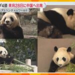 パンダ4頭は6月28日に中国へ出発　前日に見送りセレモニー　今月26日からガラス越し展示　和歌山