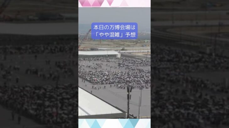 ↑リアルタイム配信はこちら↑5月23日(金)の万博会場「やや混雑」予想#shorts #読売テレビニュース #大阪関西万博 #万博
