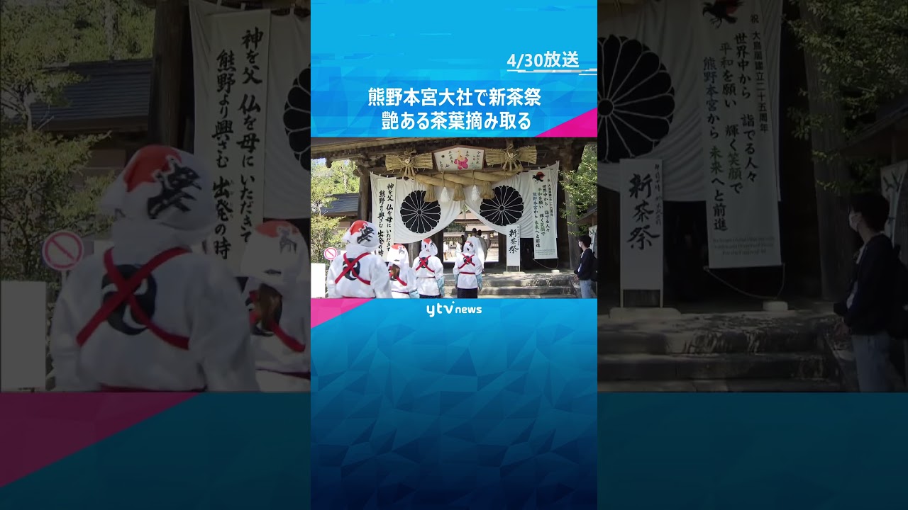 熊野本宮大社で新茶祭 巫女や農家が艶ある茶葉を摘み取る 地元特産の「音無茶」出荷は7月ごろまで #shorts #読売テレビニュース