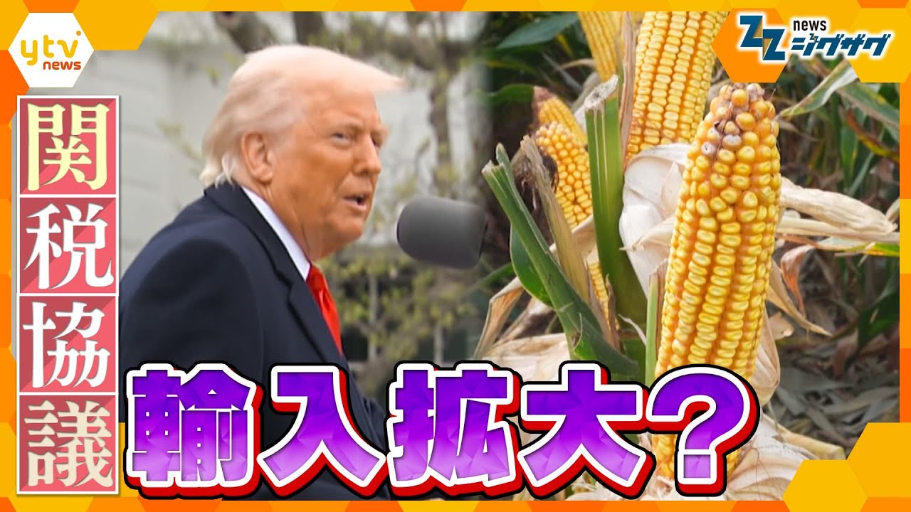 “トランプ関税”２回目の日米関税協議 “交渉カード”「もしトウモロコシを輸入拡大したら」…飼料・エネルギー、私たちの生活はどう変わる？【ニュース ジグザグ】