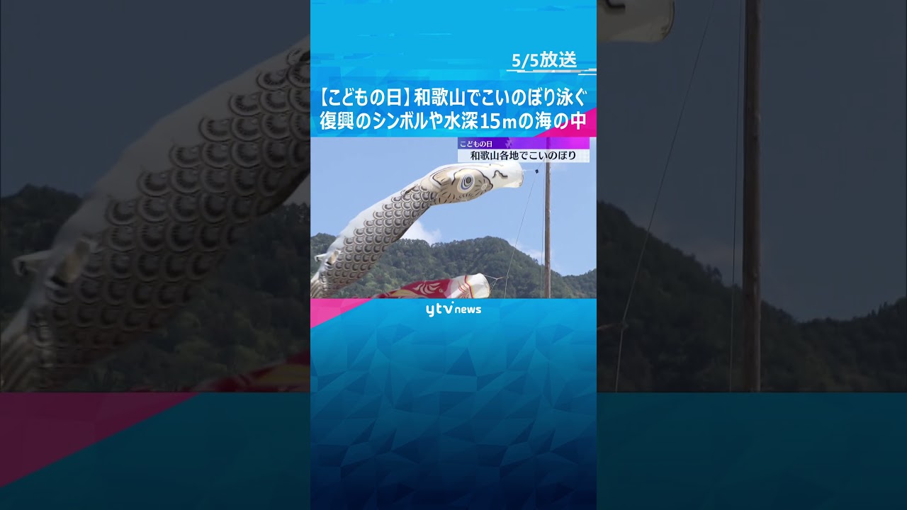 【こどもの日】“こいのぼり” 和歌山各地で優雅に泳ぐ 復興のシンボルや水深15メートルの海の中 #shorts #読売テレビニュース