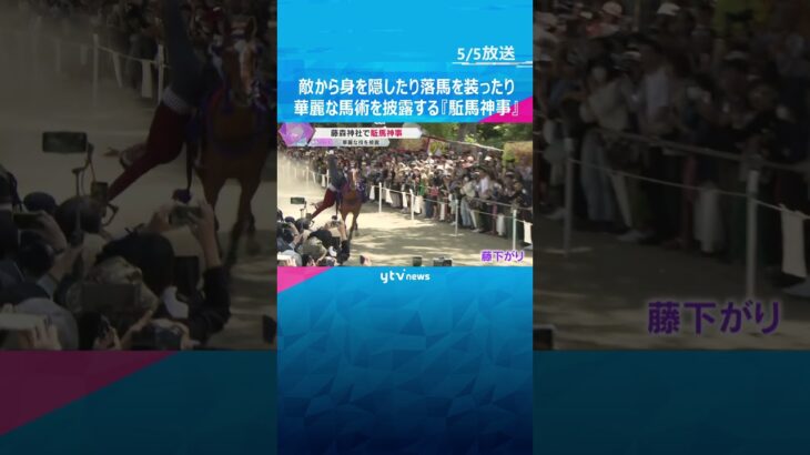 「思ったより速くてすごい」敵から身を隠したり、落馬を装ったり…華麗な馬術を披露する『駈馬神事』　#shorts #読売テレビニュース