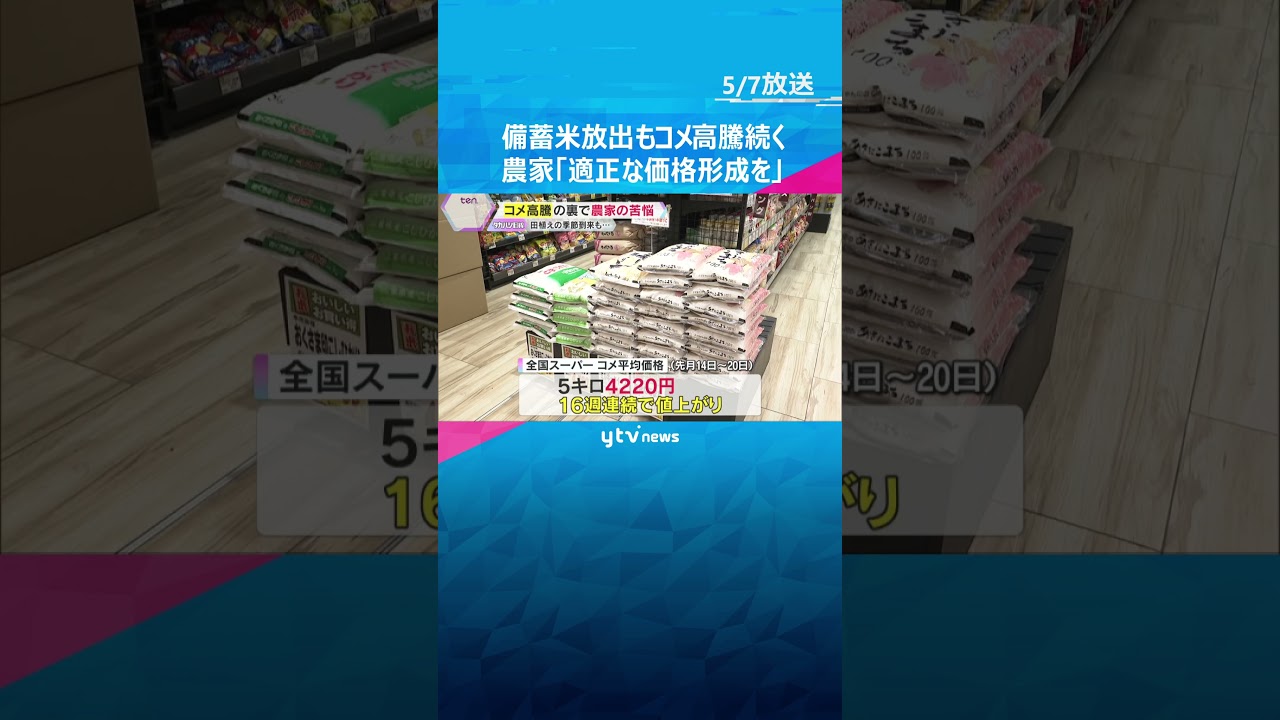 備蓄米放出もコメ高騰続く “おかわり無料”の店「値段落ち着くのを願う」 農家「適正な価格形成を」 #shorts #読売テレビニュース
