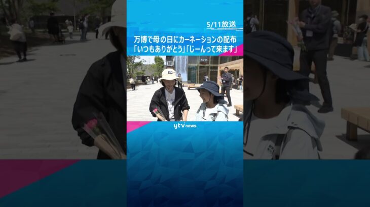 「いつもありがとう」母の日に万博会場でカーネーション400本を配布 #shorts #読売テレビニュース