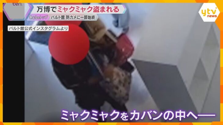 【映像】万博バルト館でミャクミャクのぬいぐるみ盗難　防犯カメラに一部始終　「悲しいので返して」